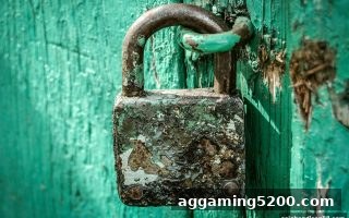 亚盘带你拆解出款审核：从流程到避坑，安全提现直达威尼斯人